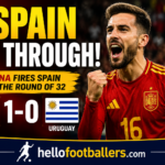 Spain 1-0 Uruguay Highlights